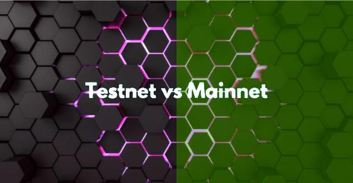 What are the Testnet and the Mainnet?