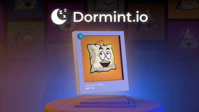 Dormint Pillow and DORM Token